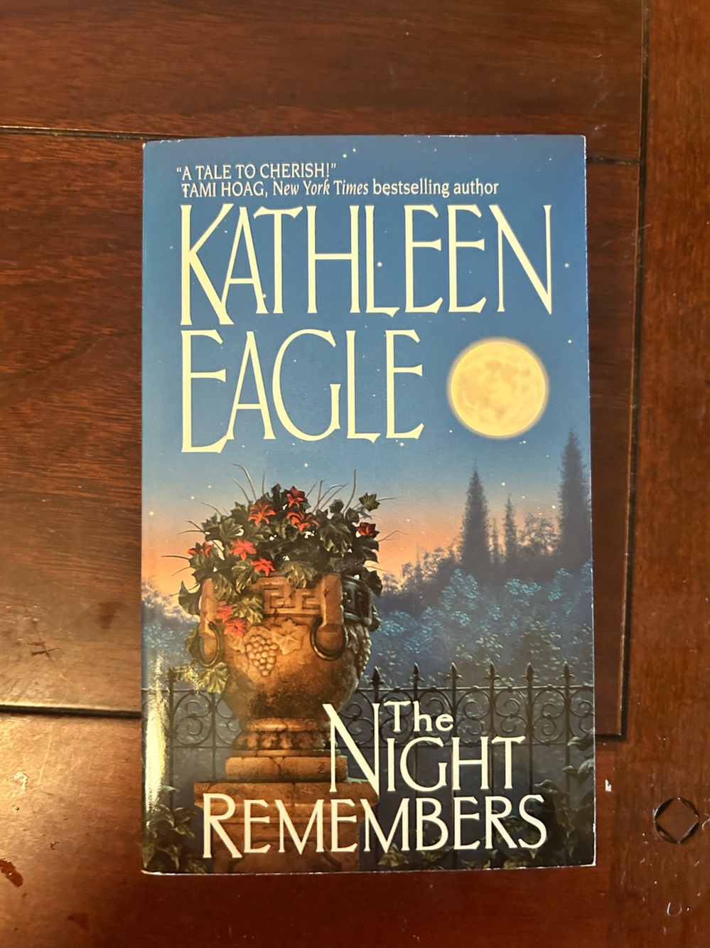 Kathleen Eagle - The Night Remembers (Blue Moon Cover)